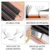 Goddess  4D/5D W Style Flower Lash Premade Volume Fans Eyelash Extension Natural Soft Light Lash 5D W Shaped Lashes