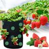1Pc Hanging Planting Bag Strawberry, Tomato Hanging Planting Bag Vertical Garden Strawberry Planting Pot