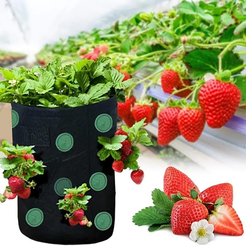 1Pc Hanging Planting Bag Strawberry, Tomato Hanging Planting Bag Vertical Garden Strawberry Planting Pot