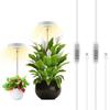 Angel Ring LED Grow Light for Indoor Seedlings & Hydroponics