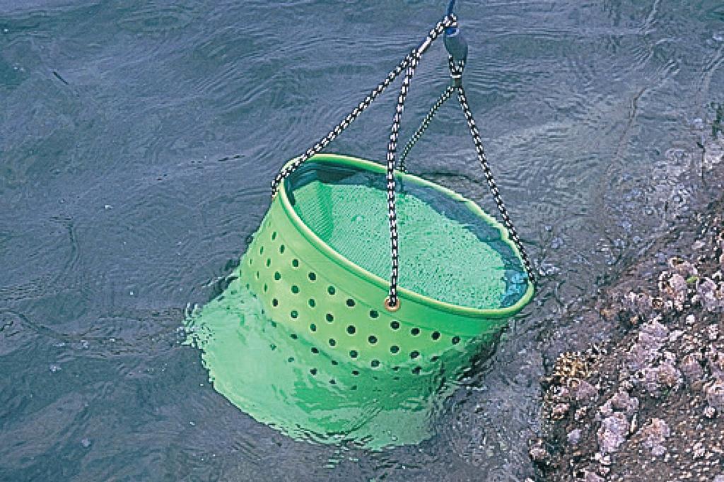 Daiichi Seiko Fishing Bucket for Ajisukari Horse 33cm (Japanese Mackerel) (11058)
