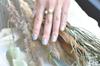 Osaji To Protect Nail Uplift Nail Color Herbal Beautiful Good 10ml 11 Drape [Quick-drying Moisture] [Contains Extract, Gloss, Coloring] [Drape]