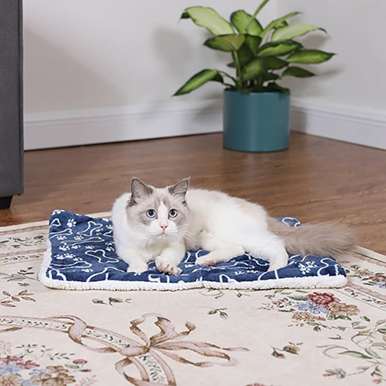 Pet Plush Cartoon Pattern Blanket Thickened and Warm In Autumn and Winter Puppy and Kitten Pet Blanket