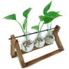 Dropshipping Glass Plant Propagation Stations With Wooden Stand Air Plants Holders Glass Vase for Indoor Plants