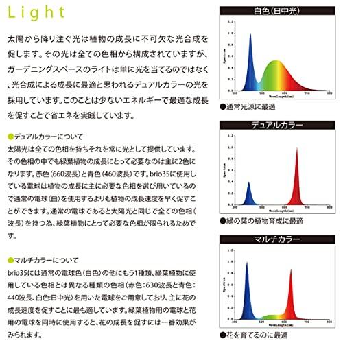 Brio 35 LED Bulb Light, 6300k White