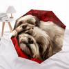 Muster mit Shih Tzu und Blumen, automatisch faltbarer Regenschirm, tragbares und faltbares Design, 8 Schirmstäbe, ein Weihnachts- oder Geburtstagsgeschenk.
