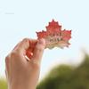 6pcs Collection Leaf Sticky Notes Set Mini Post It Memo Pad Marker Sticker for Planner Agenda School Stationery