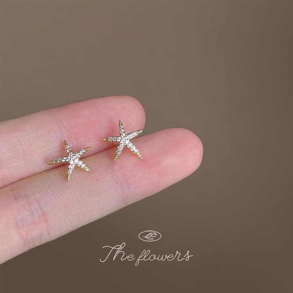 Seesterne Mikro-Inlay Zirkon Ohrringe: 14K Vergoldetes 925er Silber, Schlicht und Süß