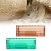 2PCS Plastic Mouse Trap Humane Reusable Rat Catcher Cage Rodent Mousetrap for Home Shop Hotel2PCS