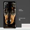 Dachshund Dog Cover For Samsung Galaxy S20 FE S21 S22 Ultra Note 20 Ultra S8 S9 S10 Note 10 Plus Case