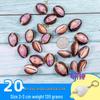 Handmade Decorative Seashells & Starfish for Fish Tanks: Landscaping, Painting, Specimens, Whelks, Hermit Crabs