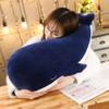 25cm/45cm Plush Toy Great White Shark Doll Simulation Dolls Cartoon Blue Whale Shark  Birthday Gift