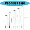 10Pcs Plant Trellis Stakes Vertical Growth Support Holder for Indoor and Outdoor Plants Tomatoes Beans Flowers