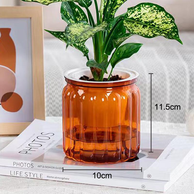 Transparent Hydroponic Vase Automatic Water Absorption Plant Pot For Home & Office