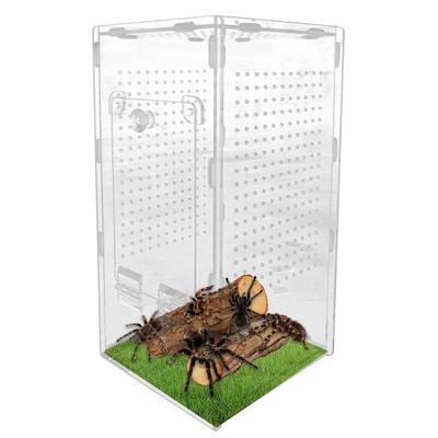 Small Reptile Feeding Box Acrylic Transparent Terrarium Habitat For Frog Insect Spider Lizard Scorpion Breeding Arboreal Cage