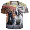 Sommer Rundhals Französische Bulldogge 3D Druck Top Modisch Lässig Kurzärmelig Herren und Damen Unisex T-Shirts
