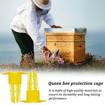 Beekeeping Queen Cage 100X Beekeeper Rearing Tools Professional Farm-raised Fly Breeding Cup Kit For Interior Cell Protector