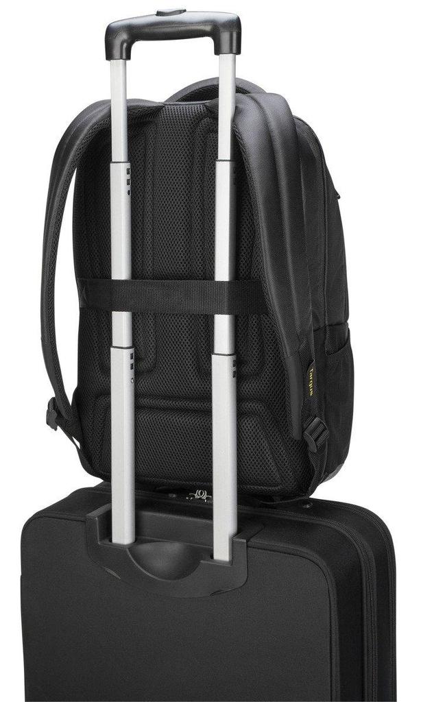 Targus CityGear notebook case 39.6 cm (15.6\