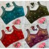 Indian Pakistani Party Wedding Wear Choli Women's Designer Embroidery Blouse