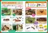 Gakken Science and Learning Ant House In Wonderland 6 and J750736 Presents (Ages Up)