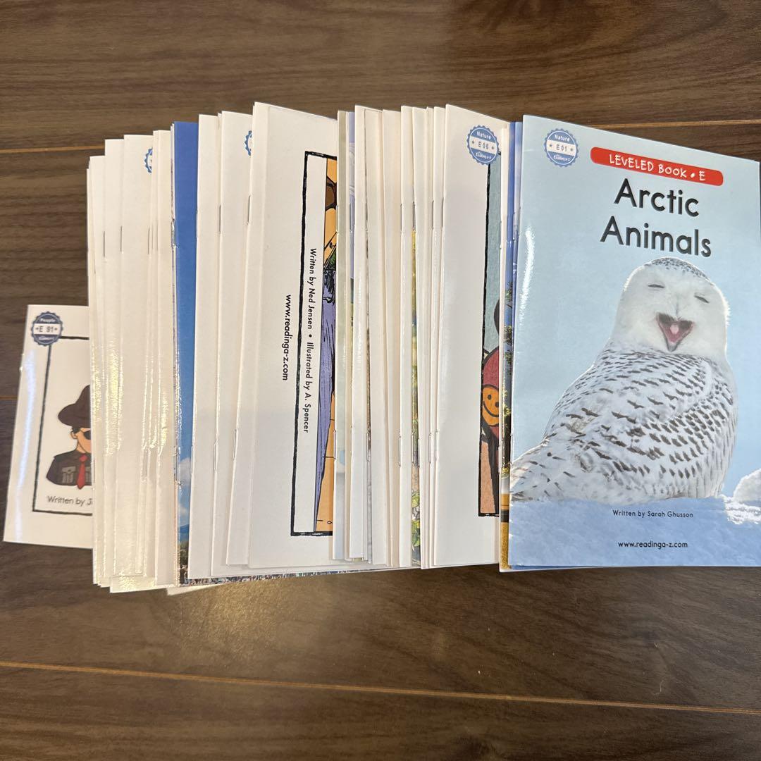 

[USED] RAZ A-Z leveled book E English picture book