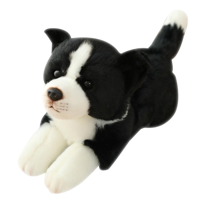 Simulations Border Collie Hund Plüschtier Stofftier Super Hohe Qualität Jagdhund Spielzeug Für Luxuriöse Wohnkultur Haustierliebhaber Geburtstagsgeschenk