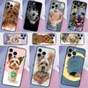 Yorkshire Terrier Dog Phone Case For iPhone 16 15 14 13 12 11 Pro Max 12 13 Mini XR 15 16 Plus 16e Cover Shell