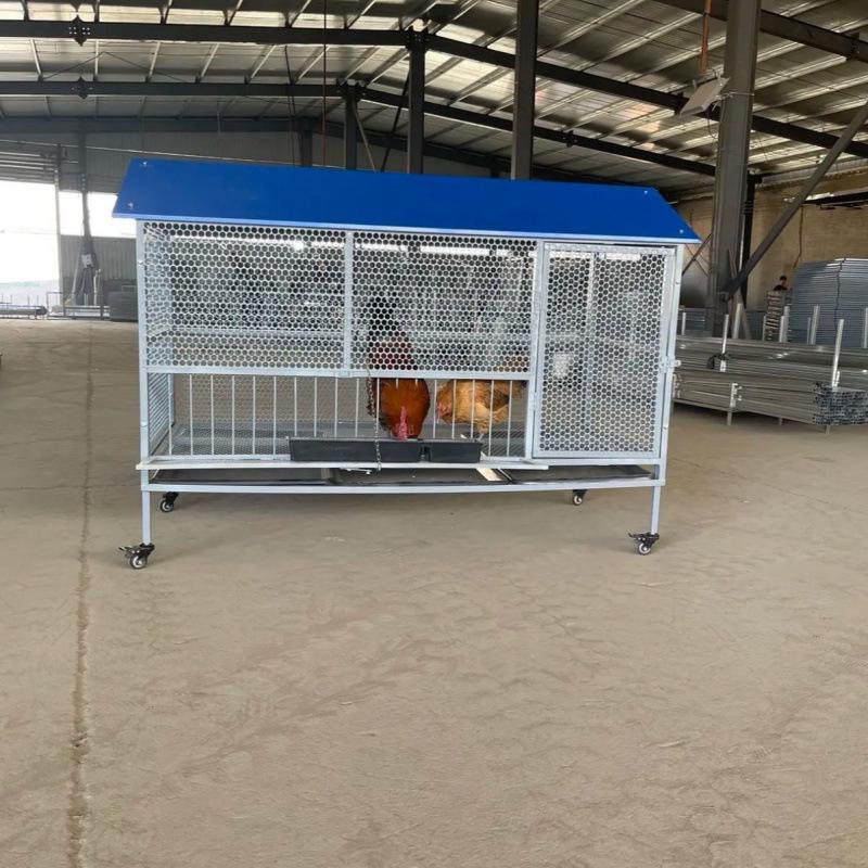Rainproof Outdoor Chicken, Duck, Rabbit & Pigeon Coop with Anti-Rat Features