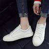 New trendy and versatile casual men's shoes, low-top sports sneakers, canvas white trendy shoes