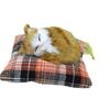 Realistic Cat Plush Figurine Photography Prop