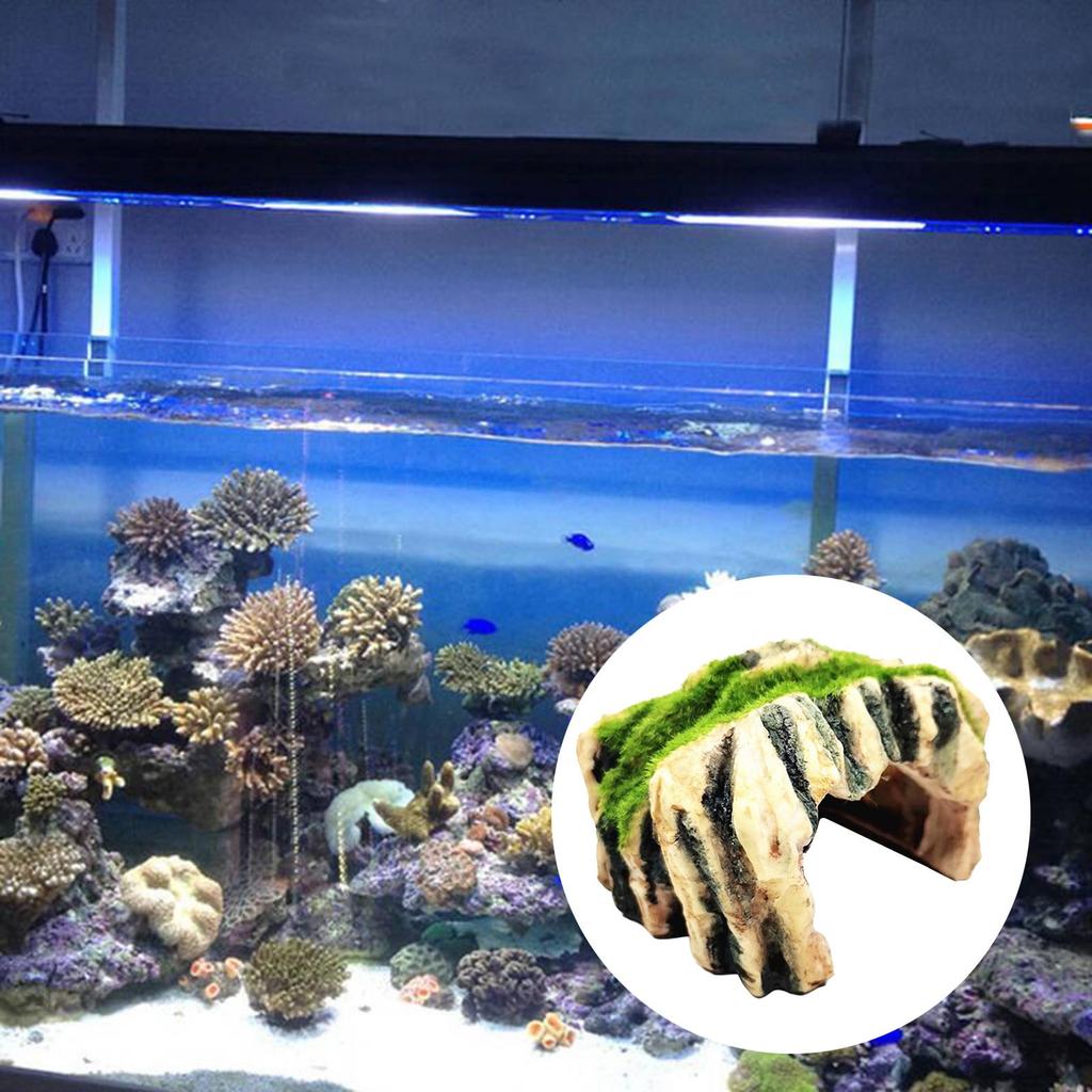 Tortoise Reptile Hiding Cave Fish Aquarium Decoration Durable Hideouts House