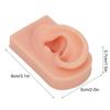 Silicone Ear Model Soft Flexible Right Ear Reusable Human Ear Model for Ear Piercing Training And Earrings Display