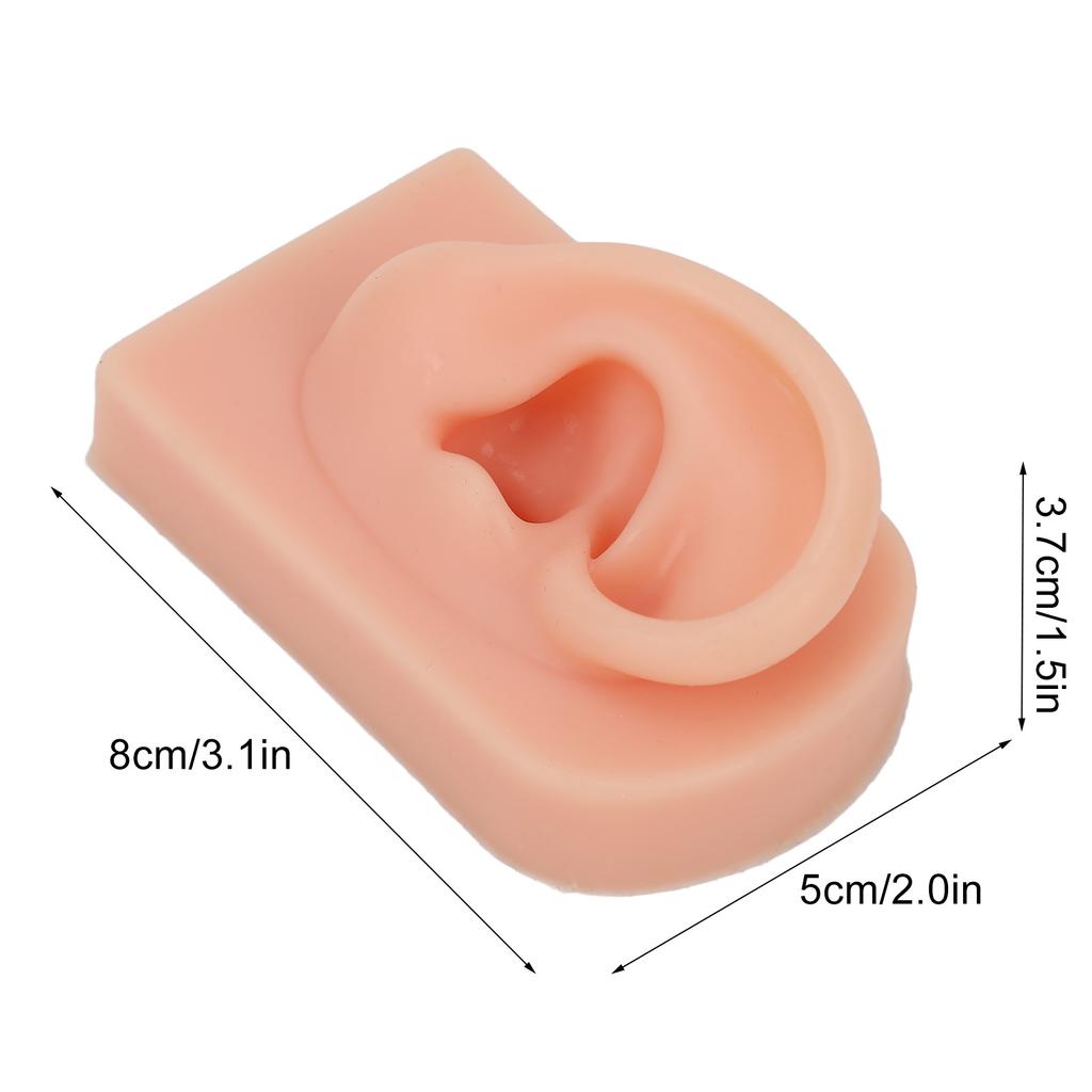 Silicone Ear Model Soft Flexible Right Ear Reusable Human Ear Model for Ear Piercing Training And Earrings Display