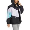 Adidas Originals Clover Color Block Down Puffer Hoodie With Logo Print Women Outerwear Black HS9519
