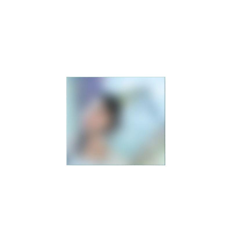 

ЧЕЁН (ДВАЖДЫ) – LIL FANTASY Том 1 (Версия «Сверкающая») 1pcs