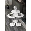 Coffee Table And Nesting Table Terra Silver White