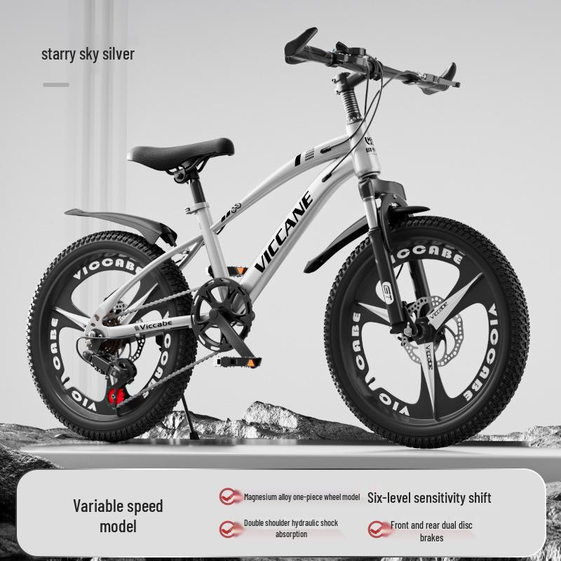 20 Inch Variable Speed Mountain Bike for Children Ages 7-11
