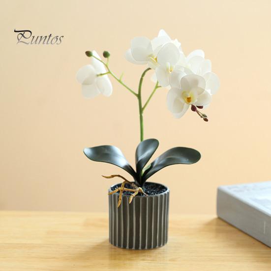 Yapay Saksı Bitkisi Sahte Güve Orkide Bonsai Masaüstü Yapay Saksı Phalaenopsis Çiçekleri Ev Yemek Masası Ofis Masası Dekorasyonu