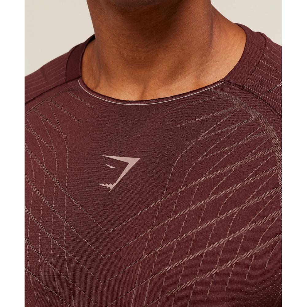 Gymshark Apex Seamless T shirT Rich Maroon chesTnuT Pink A2b3s rb7T