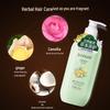 Dicai Tea Seed Ginger King Anti-Dandruff Shampoo