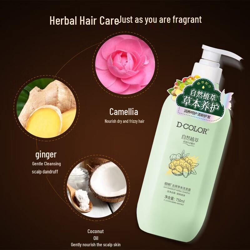 Dicai Tea Seed Ginger King Anti-Dandruff Shampoo