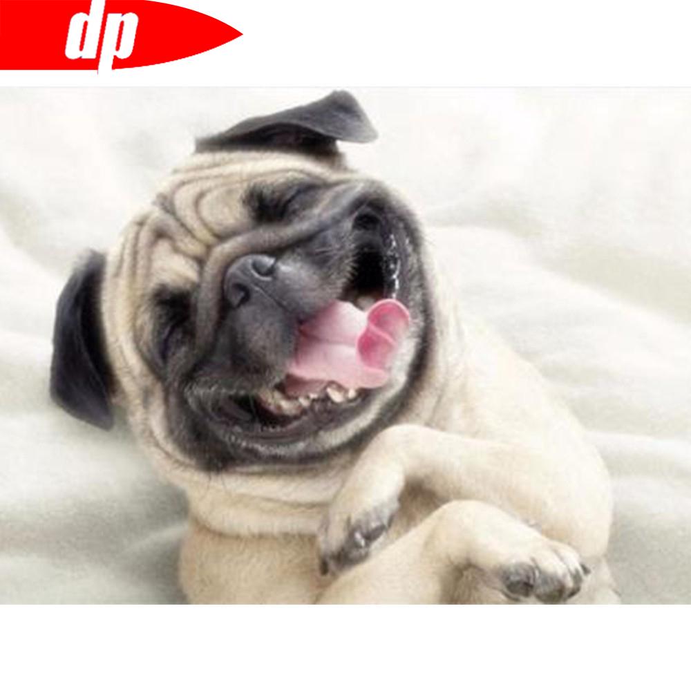 Broderie cu diamante 5D Răsărit de soare, peisaj, cu punct de cruce, broderie cu diamante, animal, complet pătrat, imagine pentru decorarea casei cu stras