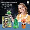 Xueyou Ma Blooming Crystal Christmas Tree - Magic Growing Kit for Science Lovers