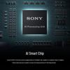 Sony Alpha 6700 APS-C Mirrorless Camera (CN version)