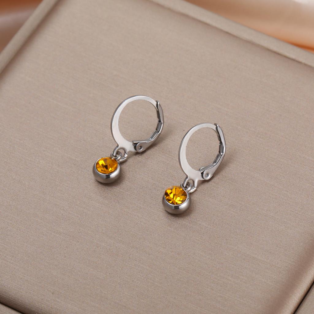 Birthstone Earrings Hoop Earrings Girl Women Stainless Steel Jewelry Family Friend Birthday Valentine's Day Gifts 2025 Trend