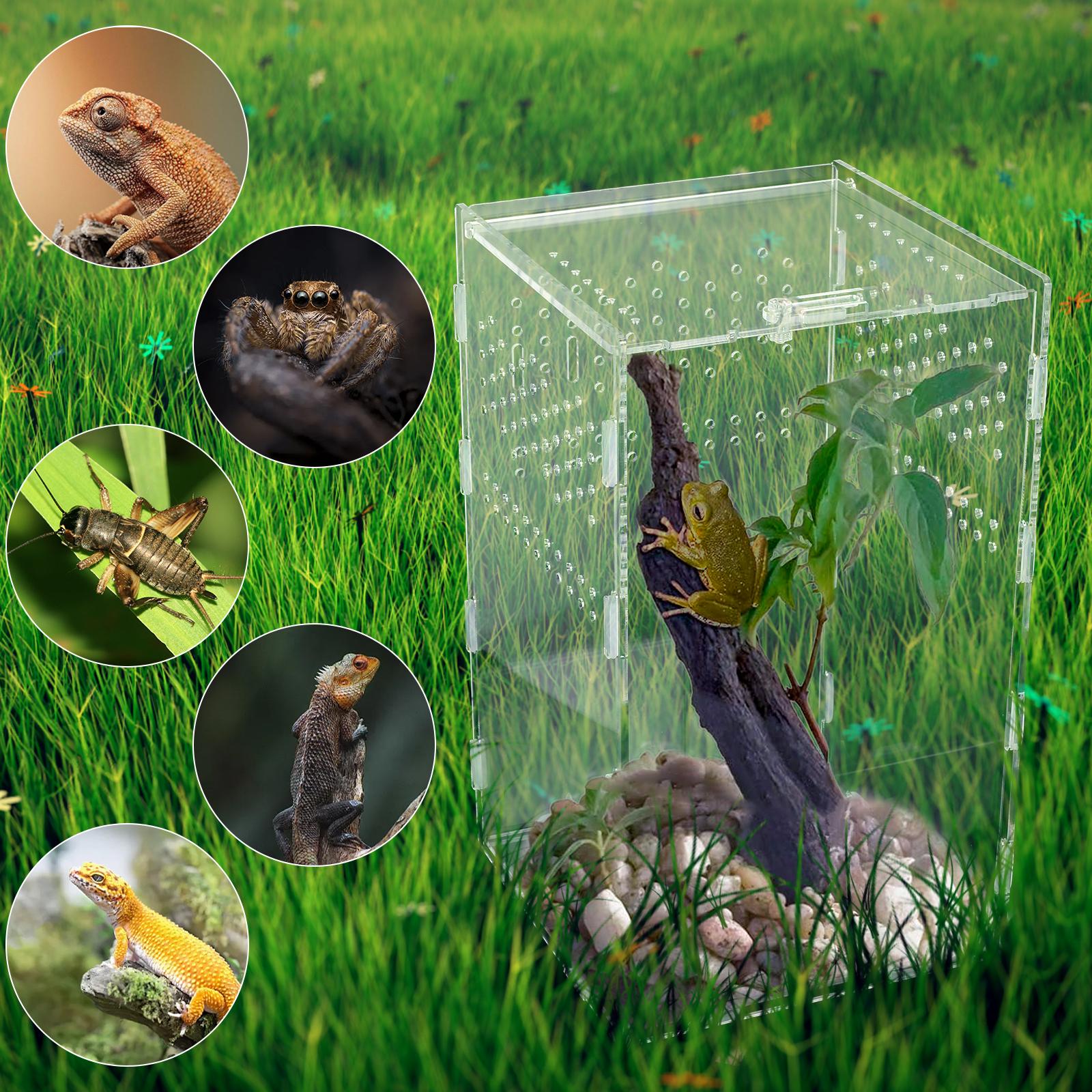 Reptile Feeding Box Acrylic Transparent Terrarium Habitat Insect Spider Lizard Scorpion Bearded Dragon Breeding Arboreal Cage