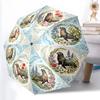 Accessoires – Paraplu's