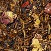 Decaffeinated Tea_Eternal Summer Tea (Rooibos) Tea Bag Collection (15ea)