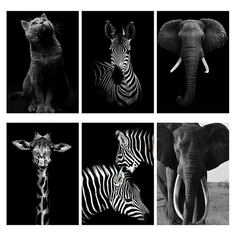 Black White Animal Wall Art Prints Unframed Modern Wild Lion Tiger Gorilla Posters for Living Room Bedroom Decor