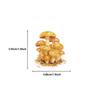 50pcs Cute Fairytale Animals Graffiti Stickers Cartoon DIY Skateboard Phone Case Laptop Waterproof Cool Sticker Decals Toy
